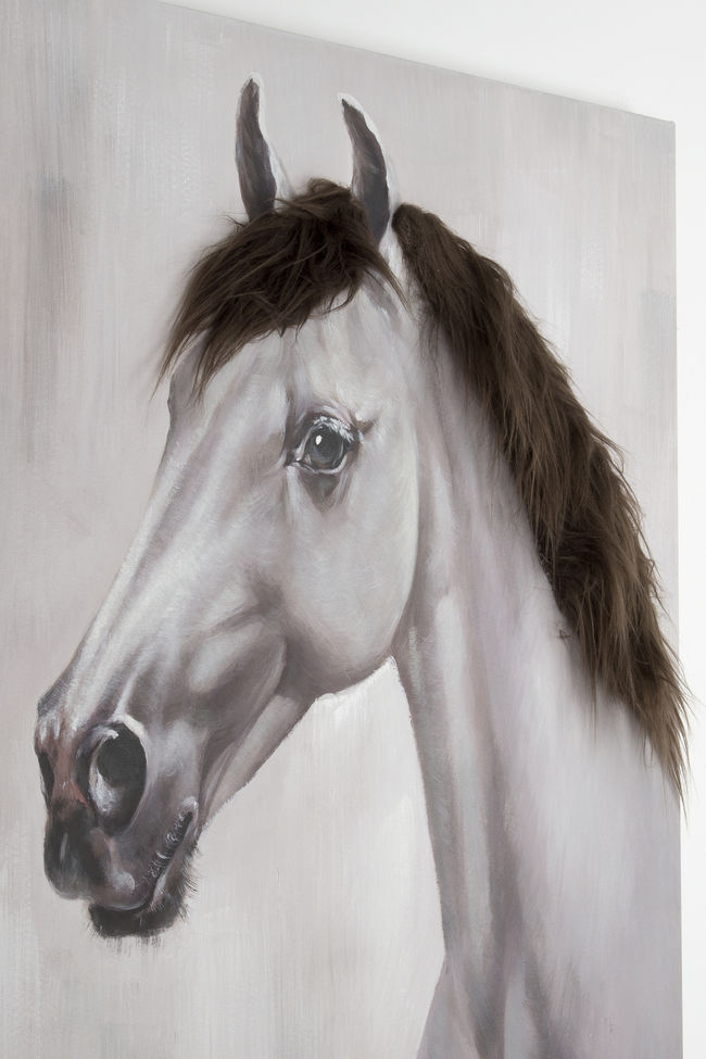 Wandbild EQUIRA